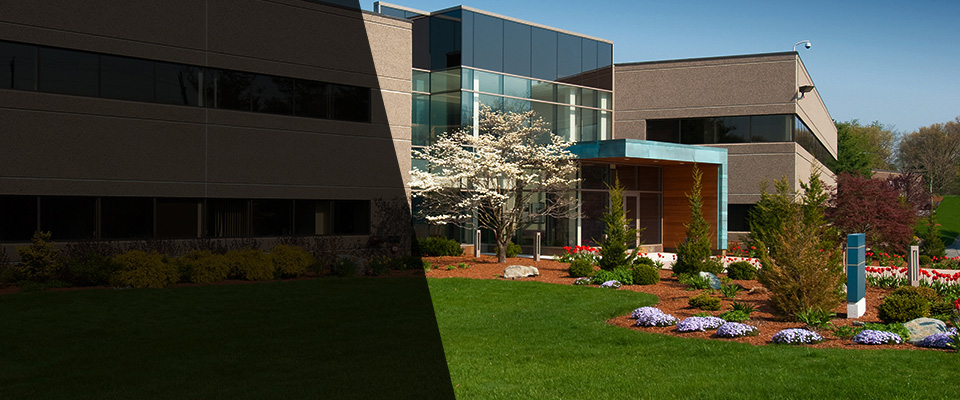 Abita Springs Landscapers