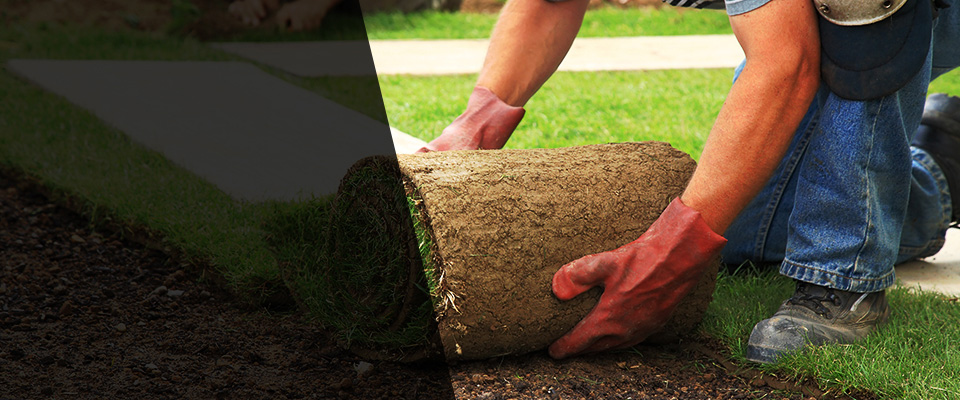 Abita Springs Landscapers